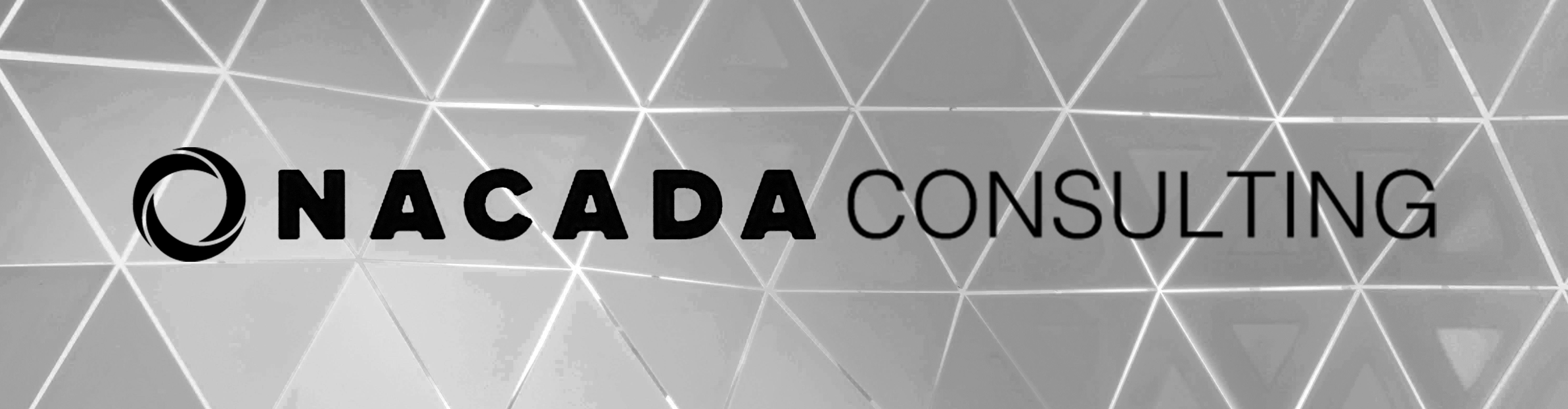 NACADA Consulting Banner 3